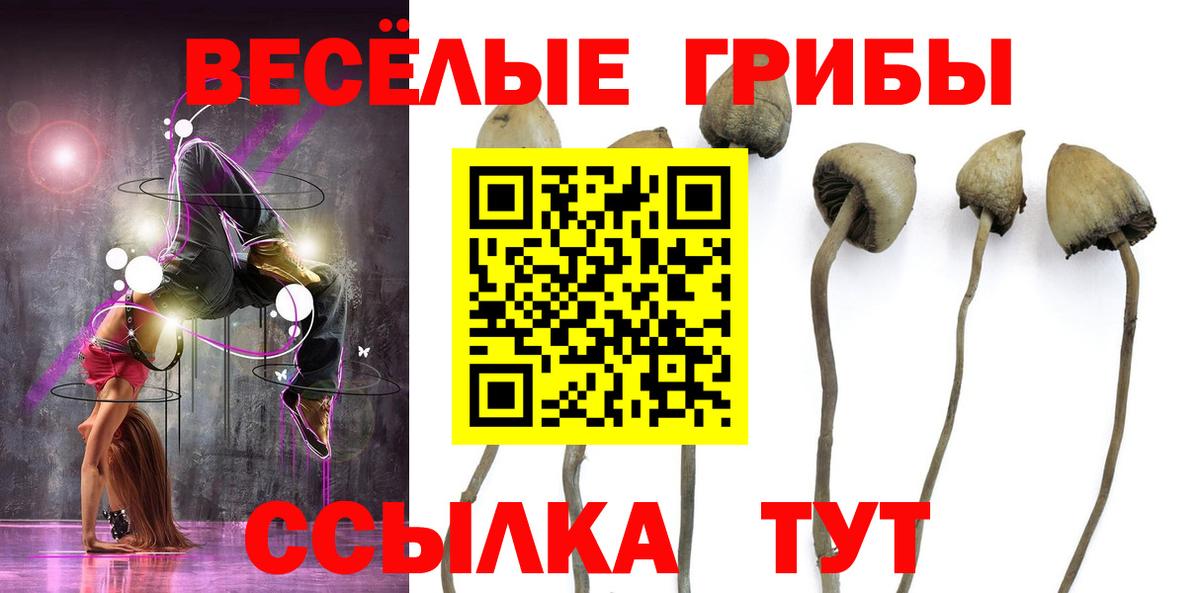 Амурск  Галлюциногенные грибы MAGIC MUSHROOMS  Вход с VPN  Псилоцибиновые грибы Psilocybine cubensis 