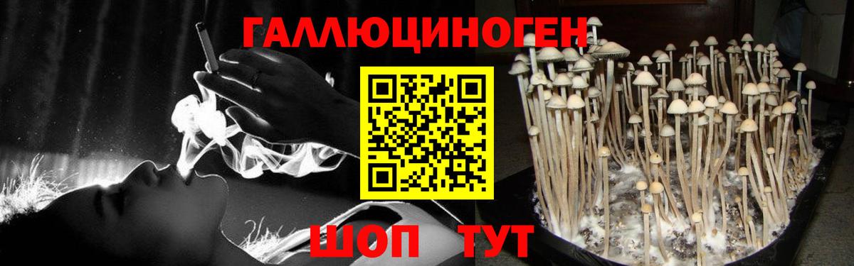 Галлюциногенные грибы Cubensis Амурск