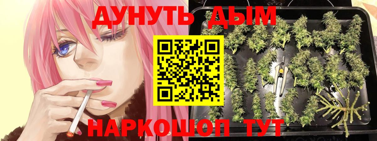 Марихуана Bruce Banner  Бошки Шишки индика  Конопля ГИДРОПОН  Вход с VPN  Амурск 